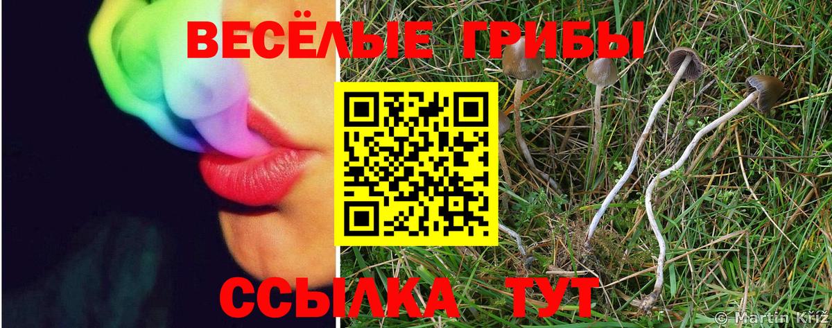 Галлюциногенные грибы Cubensis Выкса